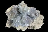 Purple/Gray Fluorite Cluster - Marblehead Quarry Ohio #81163-1